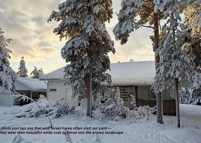Nordic Villa In Rovaniemi With A Private Sledding Hill, Sauna & Cozy Family Stay